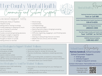 Sutter County Mental Health Services Poster with lots of information
